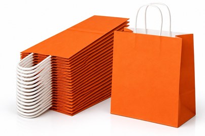 Zestaw 10 pomarańczowych toreb papierowych ECOBAG o wymiarach 305 × 170 × 425 mm, pojemności 23 l, wykonanych z papieru 100 g/m², z dnem klockowym i u
