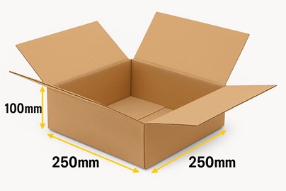 Karton Klapowy kwadratowy 250x250x100mm 3w Fala B360