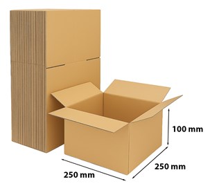 Pakiet - Karton Klapowy 250x250x100mm - 100szt.