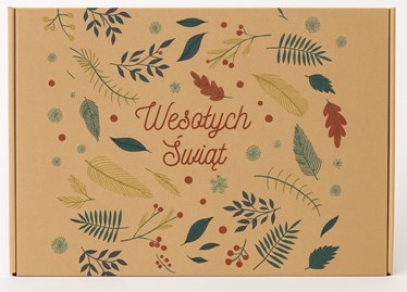 Karton fasonowy szary MIX Świąteczny z nadrukiem gałązek i napisem Wesołych Świąt, 350x250x90 mm.