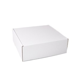 Karton wykrojnikowy 400x380x140