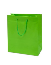 Torebka Papierowa Jasnozielona