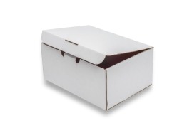 Karton wykrojnikowy biały