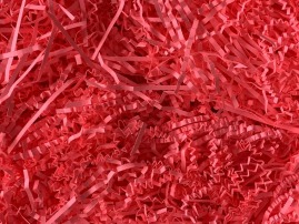 Wypełniacz papierowy PAK