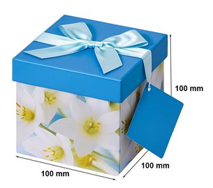 Pudełko składane 100x100x100mm XS K-803 F1