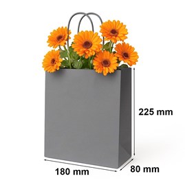 Szara torebka papierowa 180x80x225 mm z uchwytem skręcanym – stylowa i kompaktowa