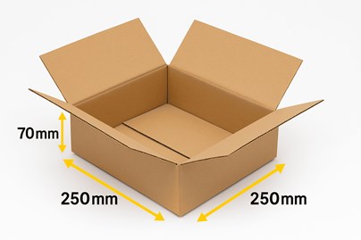 Karton Klapowy 250x250x70 mm