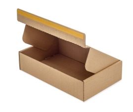 Karton wykrojnikowy 290x185x70mm F427