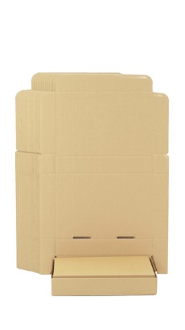 Pakiet - Karton wykr. 300x200x50mm - 100 szt