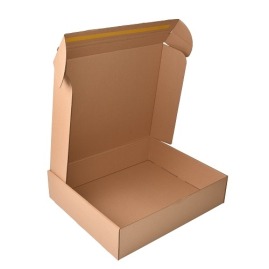 Karton wykrojnikowy 600x500x140