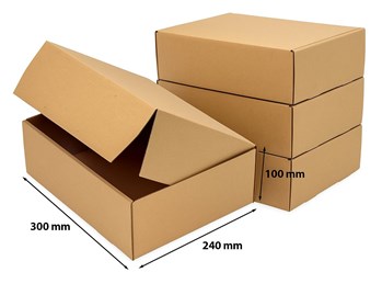 Pakiet - Karton wykr. 300x240x100mm - 10 szt