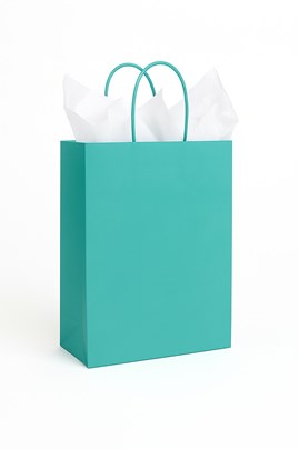 Torebka papierowa morska 180x80x225 mm z uchwytem skręcanym – mała i elegancka