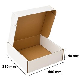 karton-wykrojnikowy-bialy-400x380x140-f427-10szt.jpg