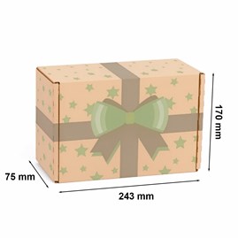 Karton Wykrojnikowy 243x170x75mm Urodziny Zielony