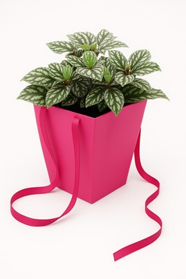 Torba papierowa flower box fuksja 125x125x180 / 165x165 mm – kobiece i stylowe opakowanie