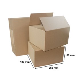 Kartony Klapowe 250x120x80mm, 10 sztuk