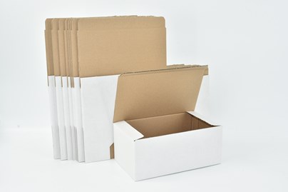 Pakiet - Karton wykr. 250x150x100mm Biały - 10 szt