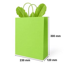 Zielona torebka papierowa 230x120x300 mm z uchwytem skręcanym – lekka i przyjazna naturze