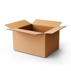 Karton 425x195x250mm