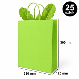 Torba prezentowa 230x120x300 mm zielona 25 szt