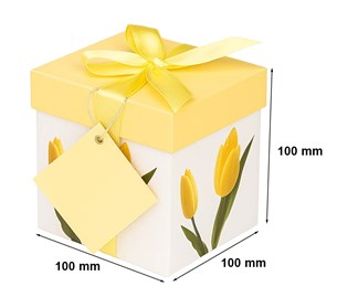 Pudełko składane 100x100x100mm XS K-803 FA1