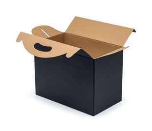 Pudełko z uchwytem F217 300x180x220mm czarne