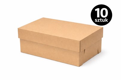 Karton wykrojnikowy na buty 320x220x130 mm 10 szt