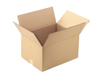 Karton Klapowy 350x250x100mm B360