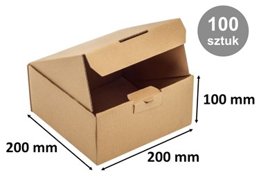 Pakiet - Karton wykr. 200x200x100mm - 100 szt