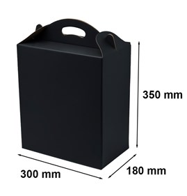 Pudełko z uchwytem 300x180x350mm czarne F217