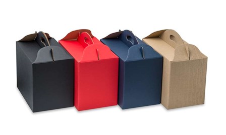 Pudełko z uchwytem F217 300x180x220mm czerwone