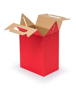 Pudełko z uchwytem F217 190x130x220mm czerwone