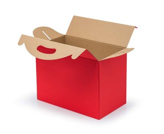 Pudełko z uchwytem F217 300x180x220mm czerwone