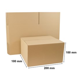 Kartony klapowe 200x100x100mm, 10 sztuk