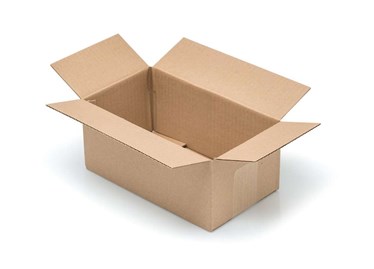 Karton klapowy standardowy