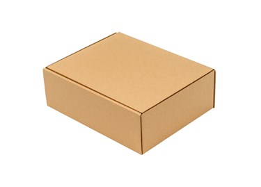 Pakiet - Karton wykr. 300x240x100mm - 50 szt
