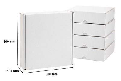 Pakiet - Karton wykr. 300x300x100mm - 10 szt