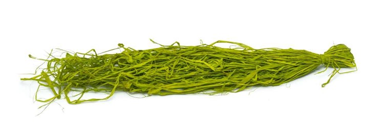 Rafia Naturalna Barwiona 50g Zielona