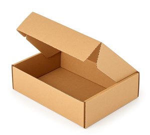 karton w typie wykrojnikowym 