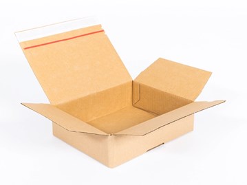Karton Karton Wykrojnikowy 250x200x80mm(zew) B320 F427 10