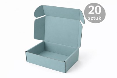 karton_mietowy_330x250x100_20szt.jpg