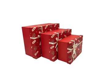 Zestaw Pudełek PUG-22082-PR (3szt)