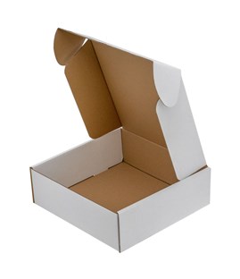 Pakiet - Karton wykr. 300x300x100mm - 10 szt