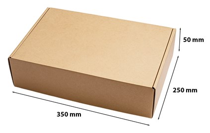 Karton wykrojnikowy 350x250x50mm F427