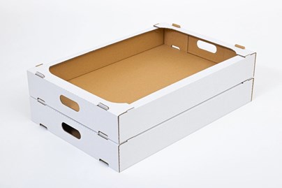 Tacka na pączki ciasta warzywa 600x400x85mm B380 F436 Biały