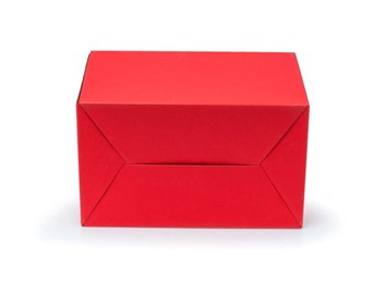 Pudełko z uchwytem F217 300x180x220mm czerwone