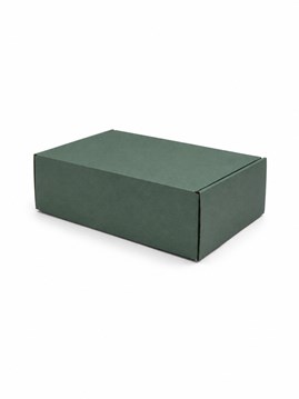 karton wykrojnikowy zielony 350x300x70 mm 50 sztuk