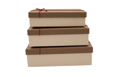 Zestaw pudełek - prostokąt rzemyk (3szt.) Beż/brąz