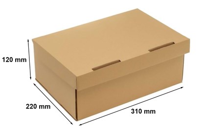 pudelko-kartonowe-a4-310x220x120-10szt.jpg