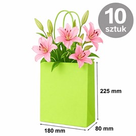 torebka papierowa zielona 180x80x225 mm 10 sztuk